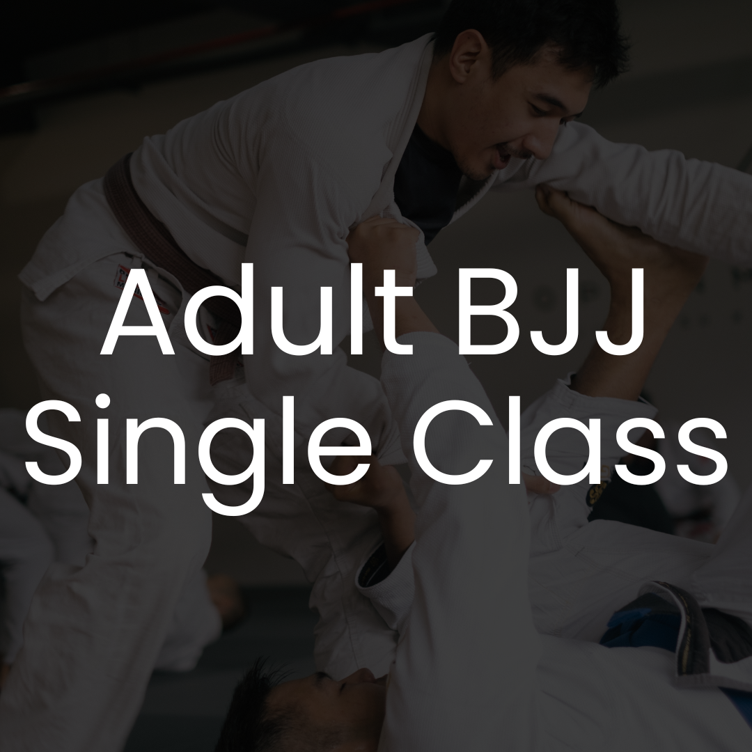 Adult BJJ - Single Class